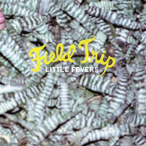 Little Fevers - Field Trip