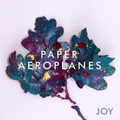 Paper Aeroplanes - Joy