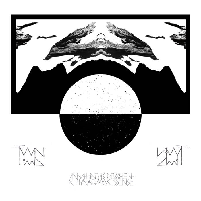 Twin Limb - Anything Is Possible and Nothing Makes Sense